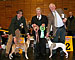 Anklicken für große Version - Click to enlarge Ausstellung Castrop-Rauxel 2008 (Foto: Whippet Top News)