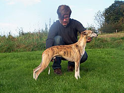 Ch. Shalfleet Silken Shadow