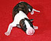 Her Name Was Copa of Gentle Mind 1