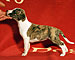 Her Name Was Copa of Gentle Mind 