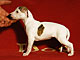 La Traviata of Gentle Mind 3