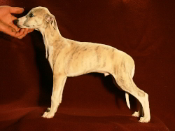 White Horse Hill of Gentle Mind