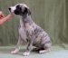 Zeus of Gentle Mind