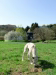 Impressionen 1