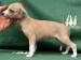 Gwendoline of Gentle Mind 2