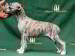 Fafner of Gentle Mind 5