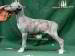Frühlingserwachen of Gentle Mind 4