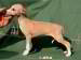 Gwendoline of Gentle Mind 3