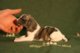 U-tube Video of Gentle Mind 1