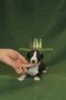 Be my Valentine Baby of Gentle Mind 2