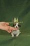 Be my Valentine Bee of Gentle Mind 2