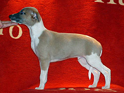 Never Forget of Gentle Mind