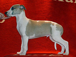 Never Regret of Gentle Mind