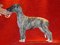 Once For All of Gentle Mind