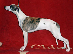 Never Eat Alone of Gentle Mind