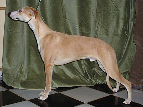 Mulberry & Peach of Gentle Mind