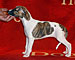 Unsinkable Molly of Gentle Mind