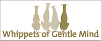 Logo Kennel of Gentle Mind